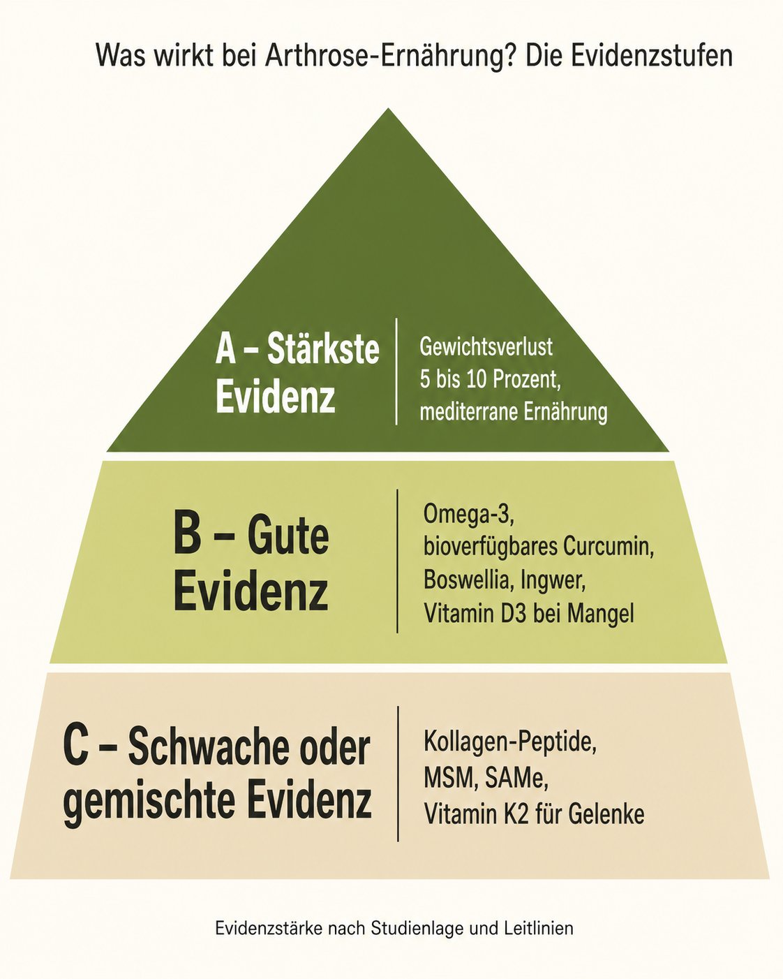 Evidenz-Pyramide: Was wirkt bei Arthrose-Ernährung